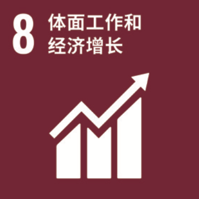 SDG 8 体面工作和经济增长